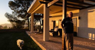 A man and his old dog are home at last after fleeing LA area fires