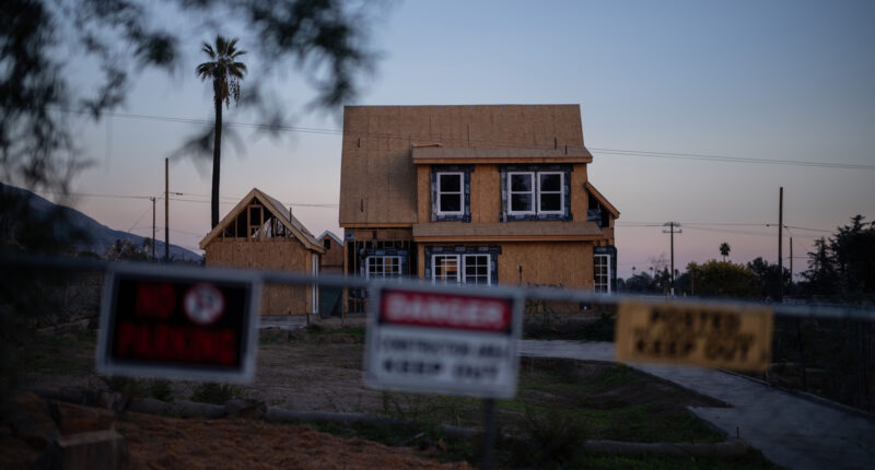A year after LA-area wildfires destroyed thousands of homes, fewer than a dozen have been rebuilt
