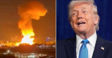 ANDREW NEIL: Emperor Trump's narcissistic, imperial ambitions should send a shiver down the spine of America's near neighbours, such as Greenland and Canada