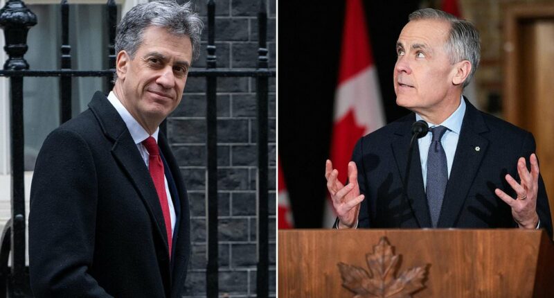 ANDREW NEIL: In our scary new world, there are three things that matter most for national survival. And Labour is taking Britain BACKWARDS on every one of them