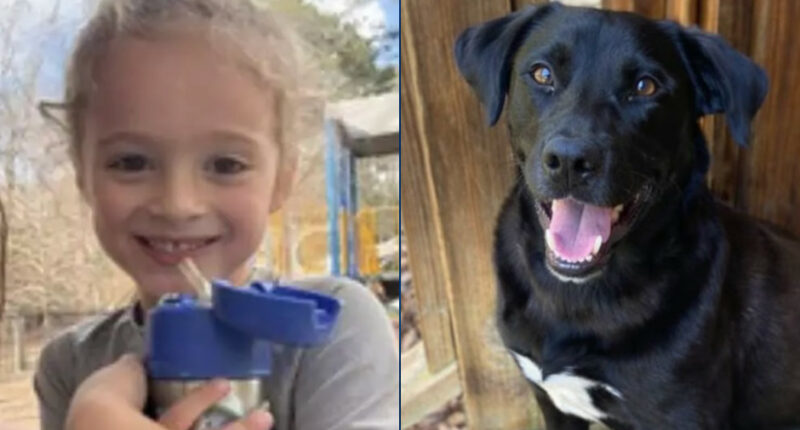 Alabama Boy Missing Since Wednesday Morning; Dad Arrested on Explosives Charges