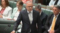 Albanese explodes in Parliament after being accused of lying