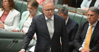 Albanese explodes in Parliament after being accused of lying