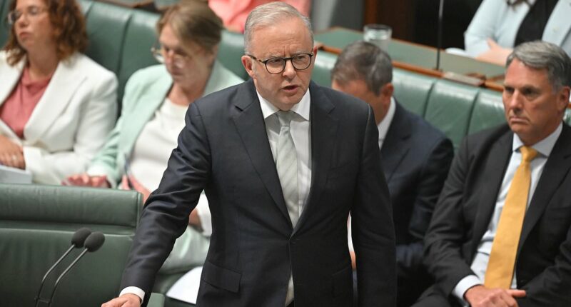 Albanese explodes in Parliament after being accused of lying