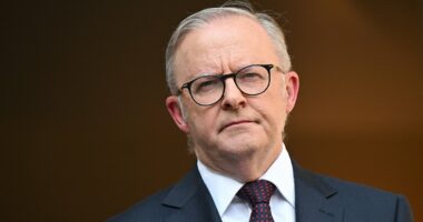 Albo slams Elon Musk-owned social media platform over 'abhorrent' feature