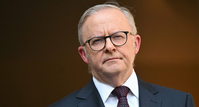 Albo slams Elon Musk-owned social media platform over 'abhorrent' feature