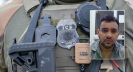 Alleged MS-13 gang member accused of 5 murders in home country nabbed in Virginia