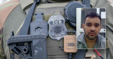 Alleged MS-13 gang member accused of 5 murders in home country nabbed in Virginia