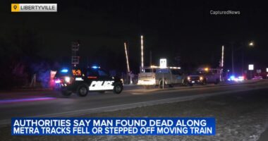 Allen Chiquini, found dead near Metra train tracks in Libertyville, Illinois, fell off moving train, coroner says