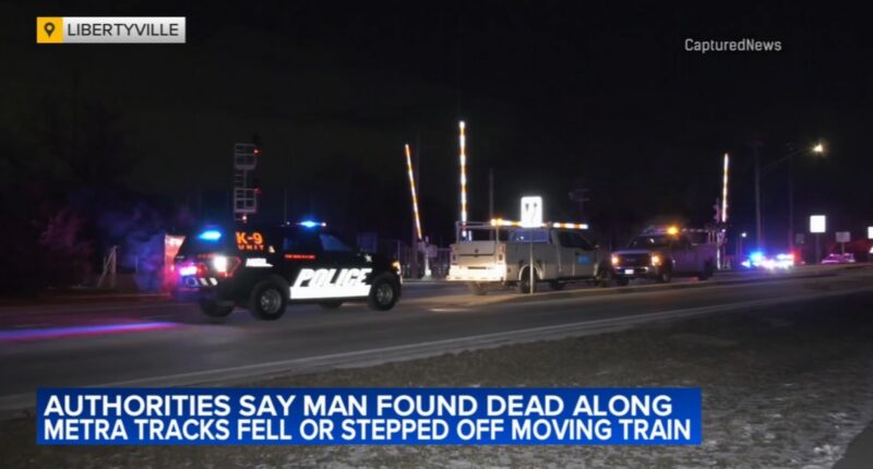 Allen Chiquini, found dead near Metra train tracks in Libertyville, Illinois, fell off moving train, coroner says