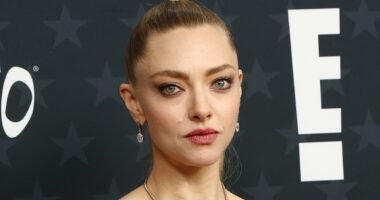 Amanda Seyfried baffled by Timothee Chalamet's Kylie Jenner tribute