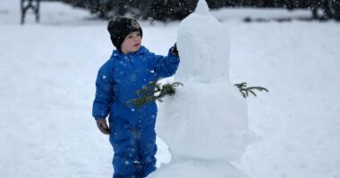 Amber warnings issued as 'bitterly cold snap' sparks travel chaos