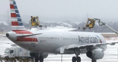 American Airlines staff slammed for 15-HOUR delay during snow storm