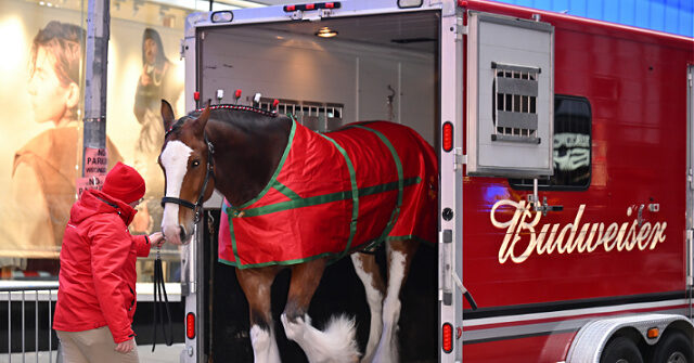 'American Icons': Budweiser Goes Full Patriot in 2026 Super Bowl Ad