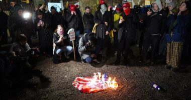 American flag set alight and stamped on outside Downing Street