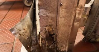 America's 'dirtiest Wendy's' filled with black mold and stagnant water