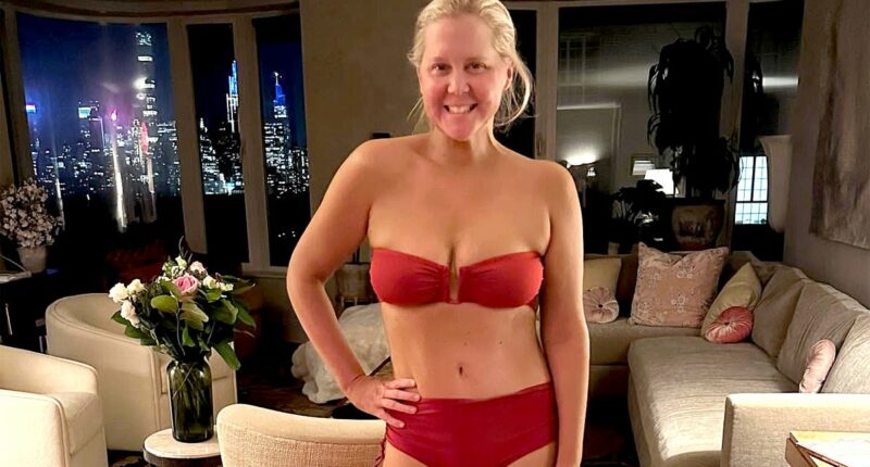 Amy Schumer sent these late-night texts when I last wrote about her...