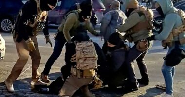 Analysis of Alex Pretti's final seconds exposes 'John Wayne gun' issue