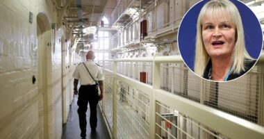 Anger as more than 100 dangerous criminals are released early