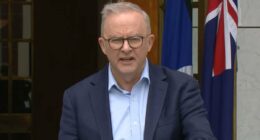 Anthony Albanese announces shock change to gun and hate crime laws