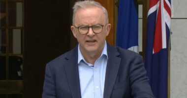 Anthony Albanese announces shock change to gun and hate crime laws