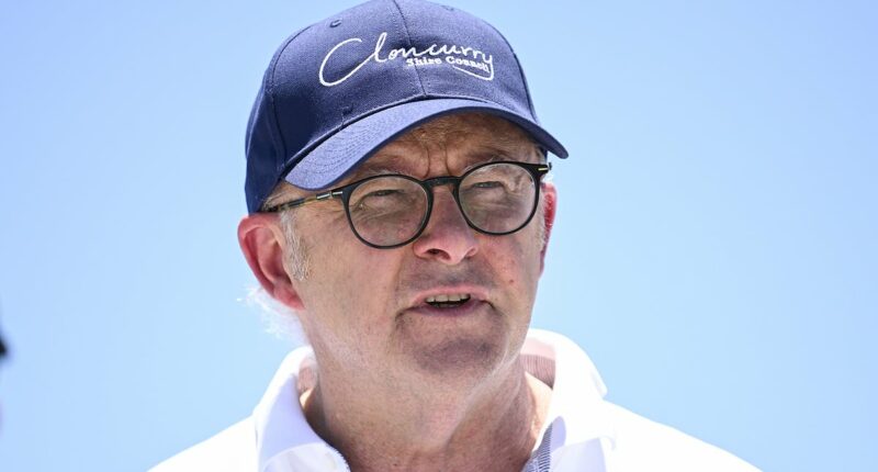 Anthony Albanese can't hide his true colours anymore