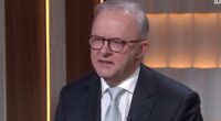 Anthony Albanese dodges question about Trump's offer to Australia: 'We'll give it further consideration'
