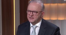 Anthony Albanese dodges question about Trump's offer to Australia: 'We'll give it further consideration'