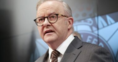 Anthony Albanese set to make bombshell backflip on royal commission