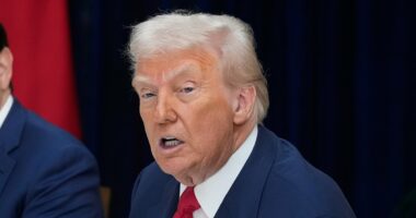 Anthony Albanese to consider major offer from Donald Trump: 'He can't refuse'