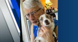 Apopka police search for missing, endangered man last seen in area of Lake Apopka Wildlife Drive