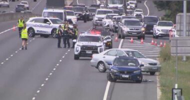 Several masked men then spilled out of the car and began brawling in the middle of the freeway and in front of other drivers.