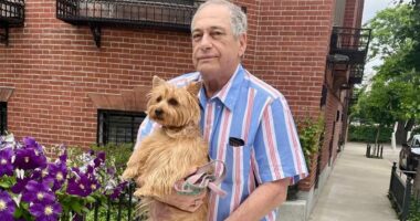 Art collector killed with his dog in hit-and-run near $2.9m apartment