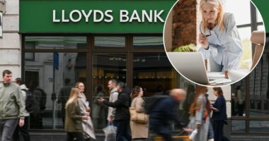 As Lloyds share price hits highest since financial crisis, are banks set for a bumper year?