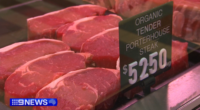 Aussie cattle farmers dealt blow as China slaps cap on beef imports