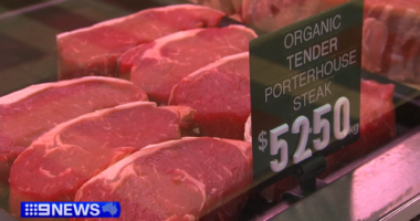 Aussie cattle farmers dealt blow as China slaps cap on beef imports