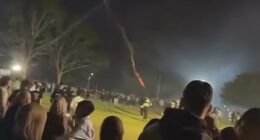 Aussies scream in terror as rogue fireworks misfire into the crowd
