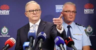 Australia removes 4.7M kids from social media platforms in first month of historic ban