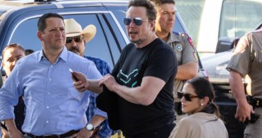 Autopsy of congressman's alleged mistress who set herself on fire