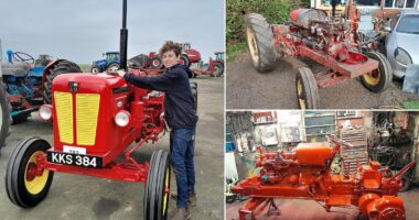 Back to its Hayday! Teenager restores 1950s tractor