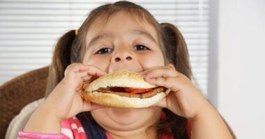 Ban on advertising junk food to UK children comes into force, but reactions are mixed