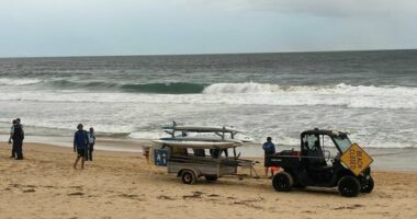 Beaches set to reopen in time for long weekend after shark attacks