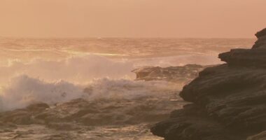 Waves at some beaches are forecast to reach five metres in height.
