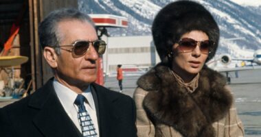 Celebrity Net Worth logo