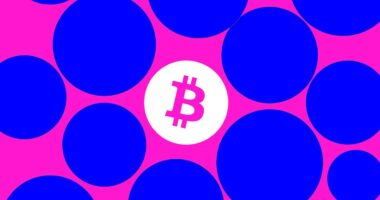 Billion-dollar Bitcoin hacker Ilya Lichtenstein thanks Trump for early prison release