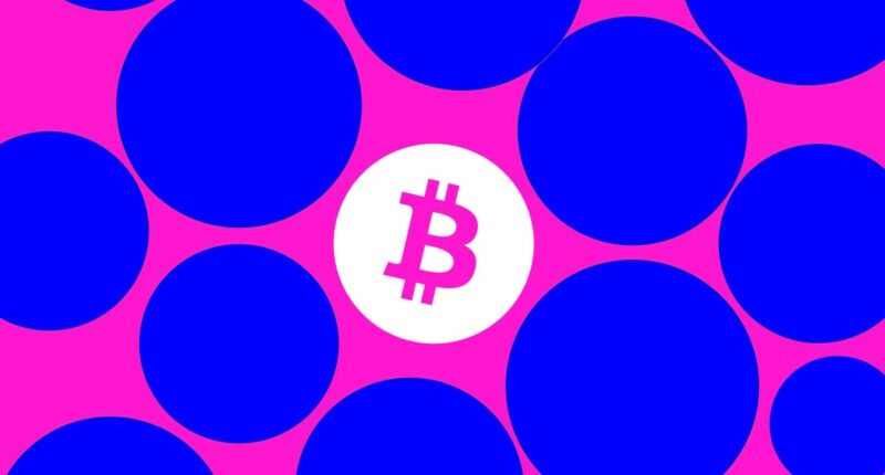 Billion-dollar Bitcoin hacker Ilya Lichtenstein thanks Trump for early prison release