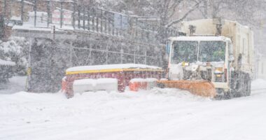 Body of 10th NYer who died in freezing temps found by Queens grocer who had offered help