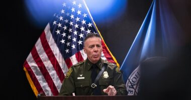 Border Patrol head gives jaw-dropping defense for agents killing nurse
