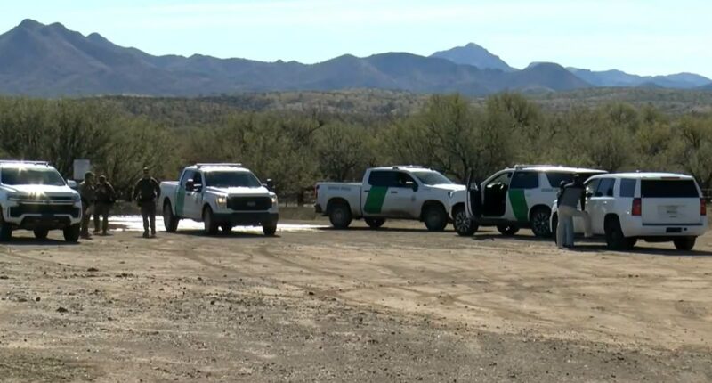 Border Patrol shoots person in Arizona days after Alex Pretti died