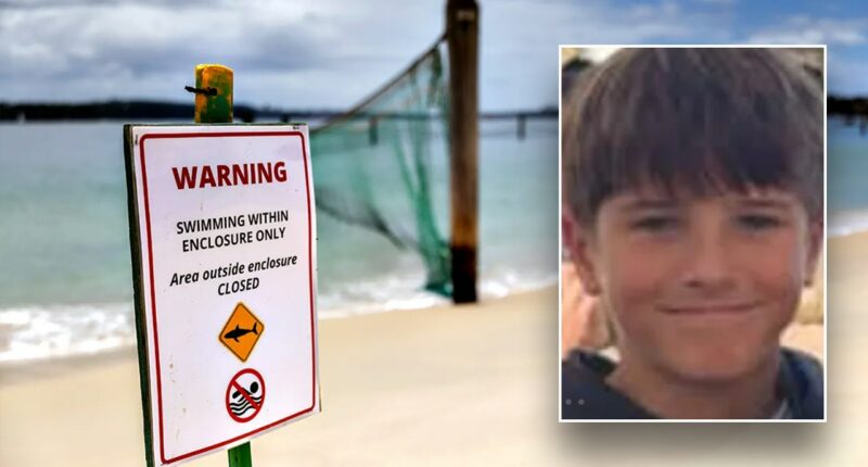Boy, 12, dies following shark attack at popular cliff-jumping spot: 'We are heartbroken'